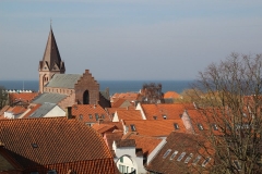 IMG_9856