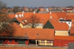 IMG_9864