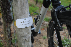 Skiltning direkte på vinmarken