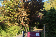 Hotel Ch. Husseren - dansk ejet