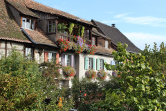 Det typiske billeder af Alsace: masser af blomster