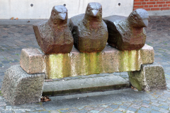 44_Fugle på trovet Ringkøbing