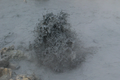 Mudderspring