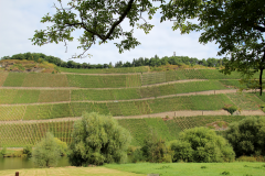 Vinbjergene set fra Brauneberg over Mosel - Mange anser Moselland som det smukkeste område i Tyskland